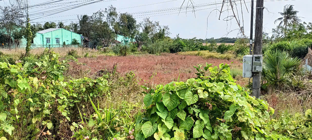 z6485493290120_388c6a3c2bb0c81a4d4188024da2ca27