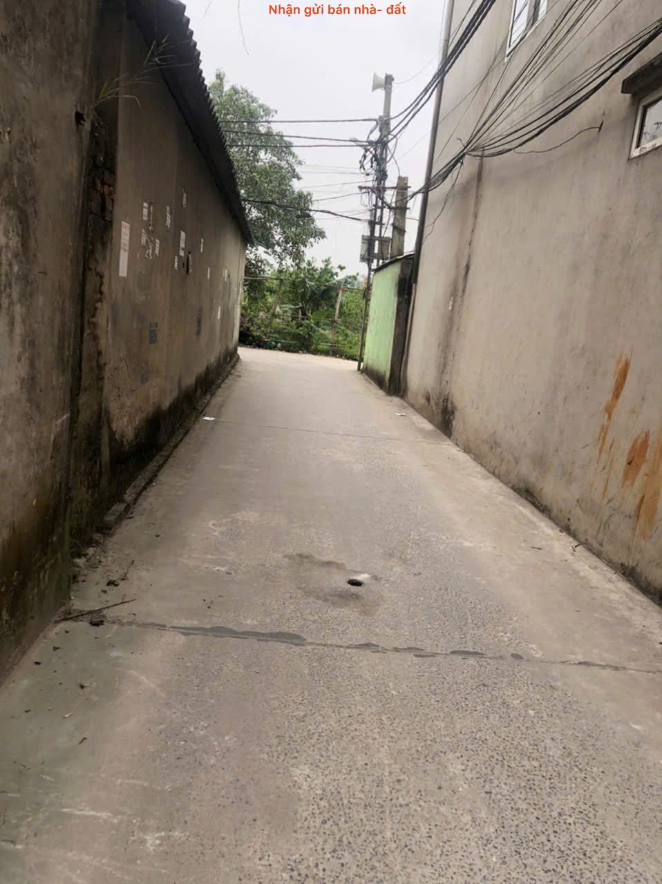 z6486988705845_5a94e1ebb492dc3f0299cb9095e68e90