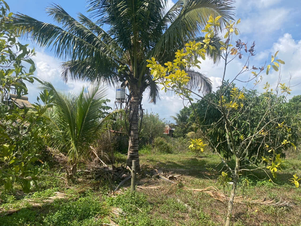 z6487779184039_d564ac0151fa4f8ca831c9383fc4ff3c