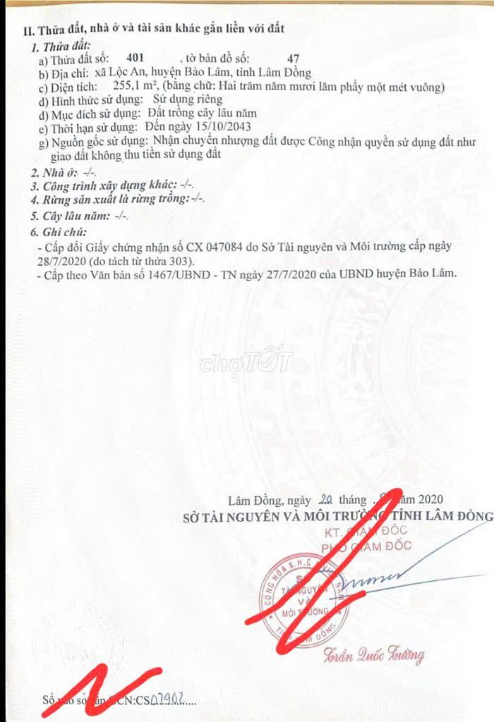 z6491228347729_23eed1ff47a7c737da3f55b955a7a413