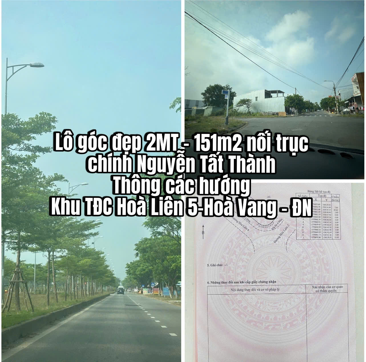 z6491615769027_cfd9c9c66cadbaf08db819cd26a20459