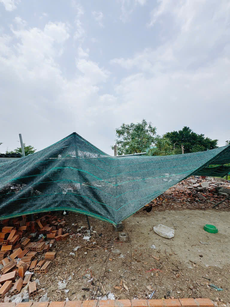 z6493706800381_83369848a4d690c320b7f7206ccf2ea8