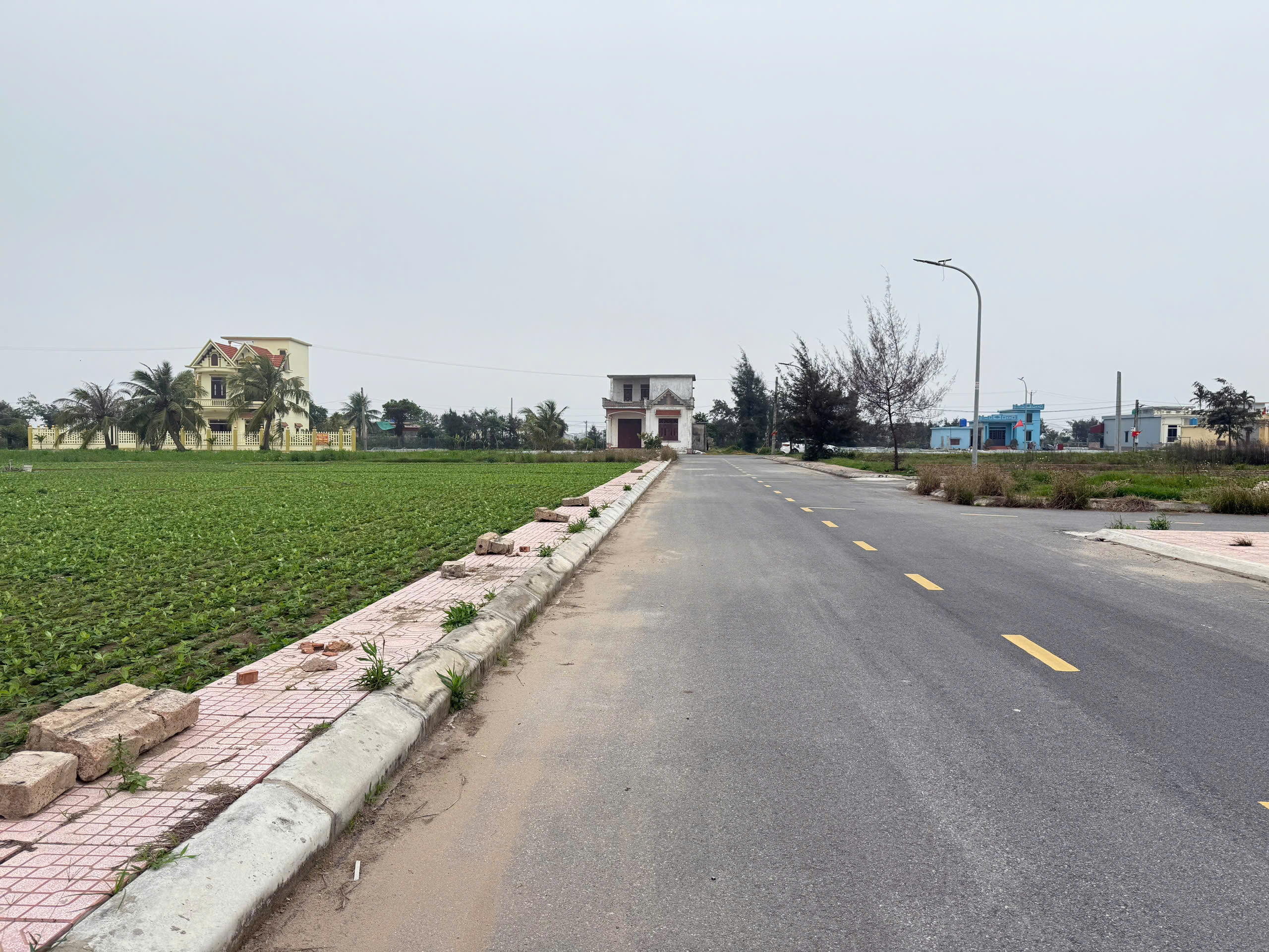 z6493920104469_d3e786ad647188f9ac740bb90eb8af58