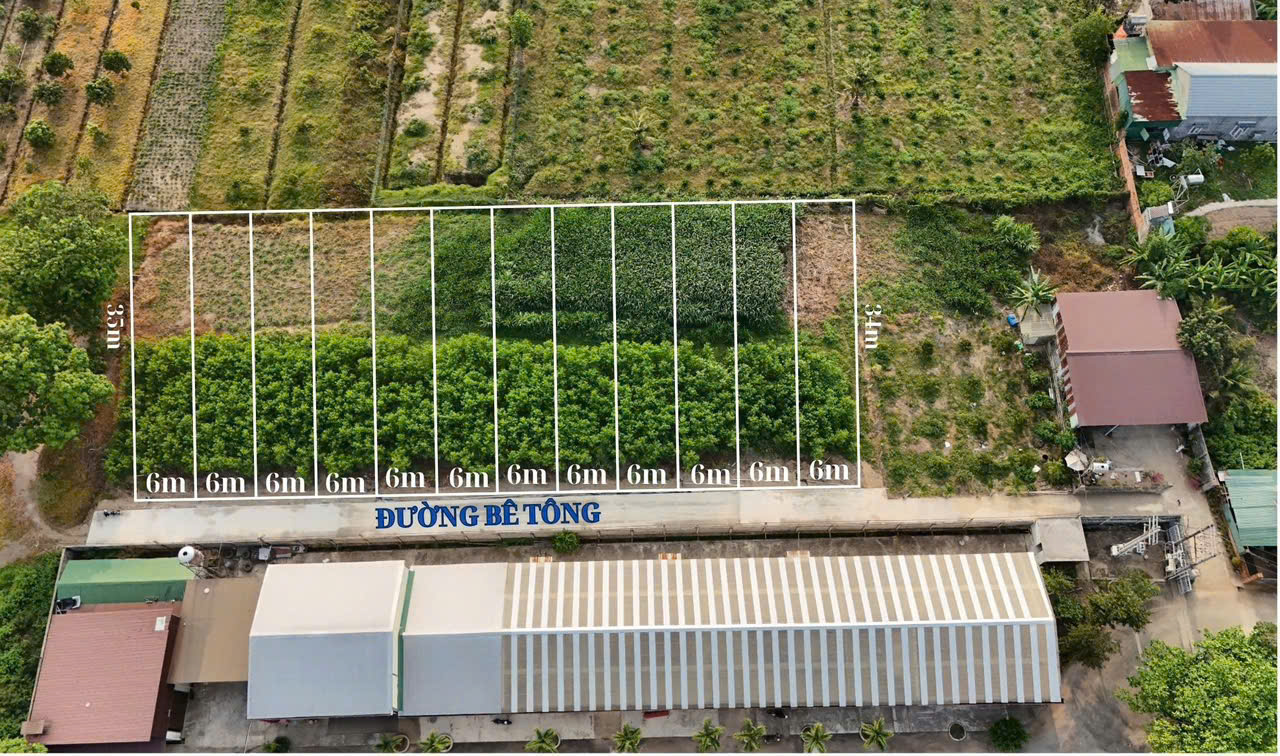 z6496900550615_bb4969223dff3755c1389caf3454ede4