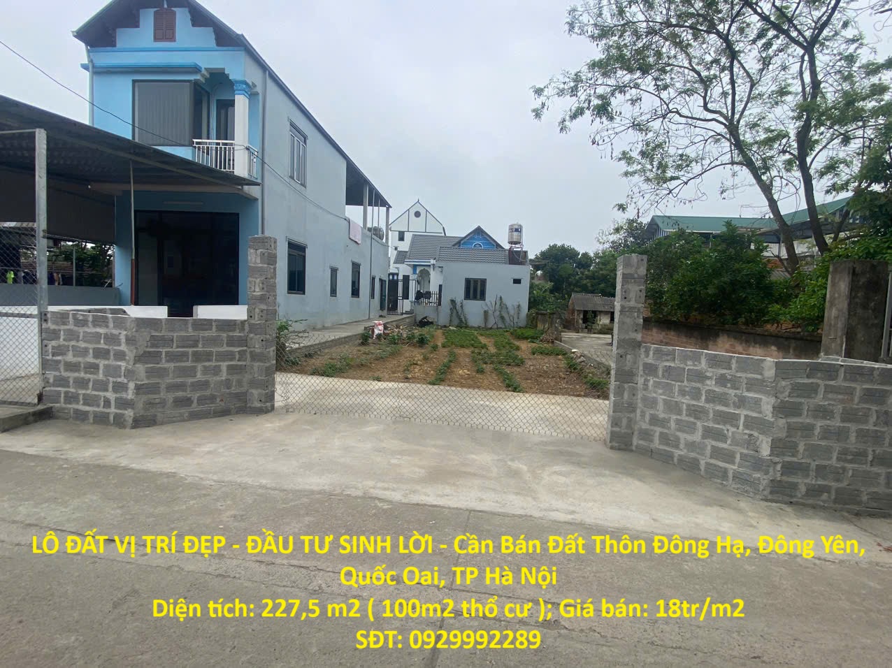 z6498981353050_ae2c85ecbd73f68c53e54947b9bc970