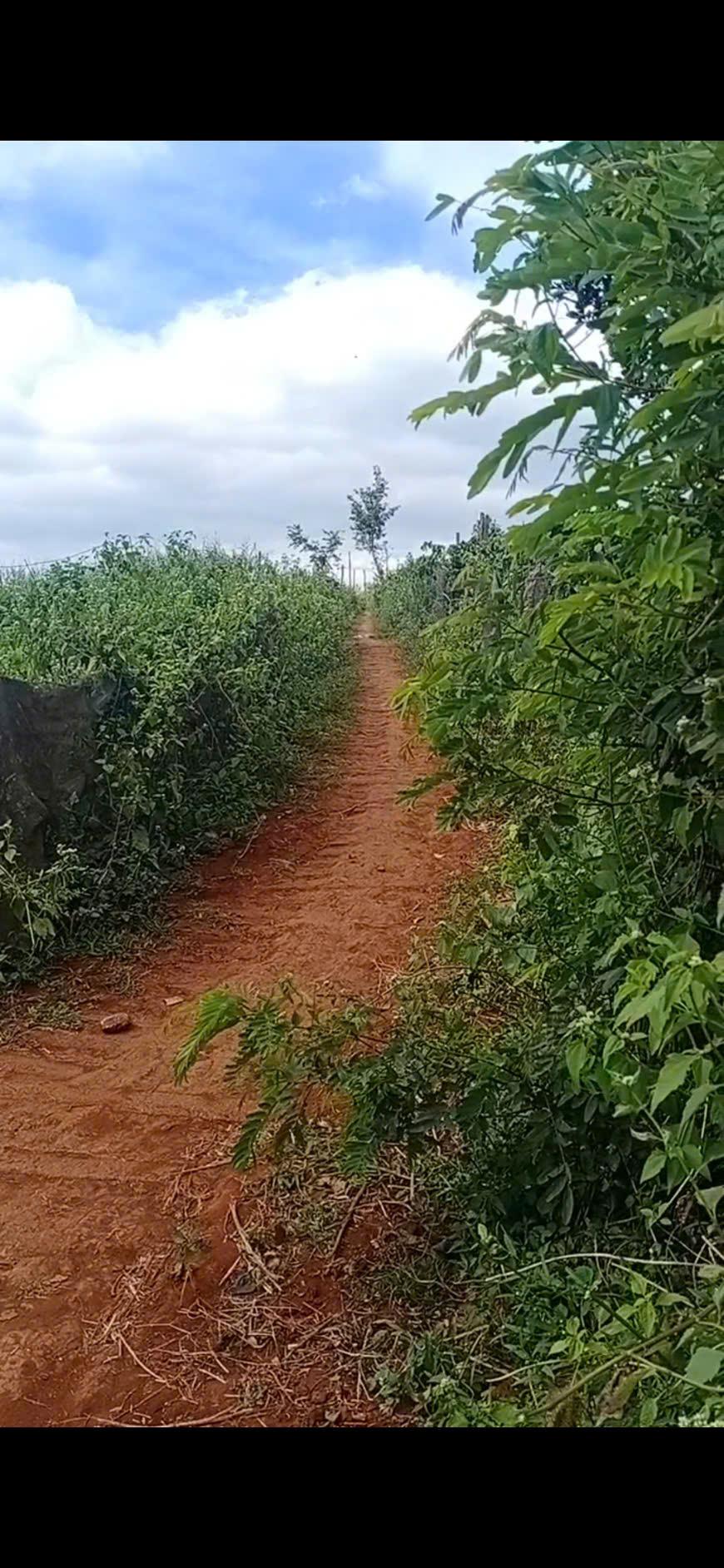 z6502596456166_d8b5af28ebf2f8a07dd12f3ded64f9f0