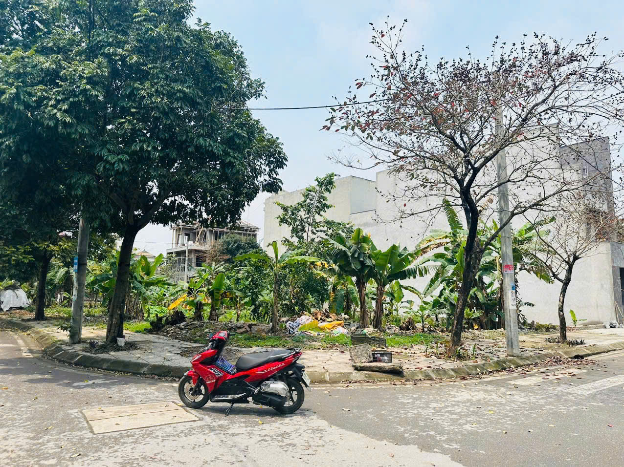 z6502775586545_c55b8c15282e9e2cac21257c07e6b967