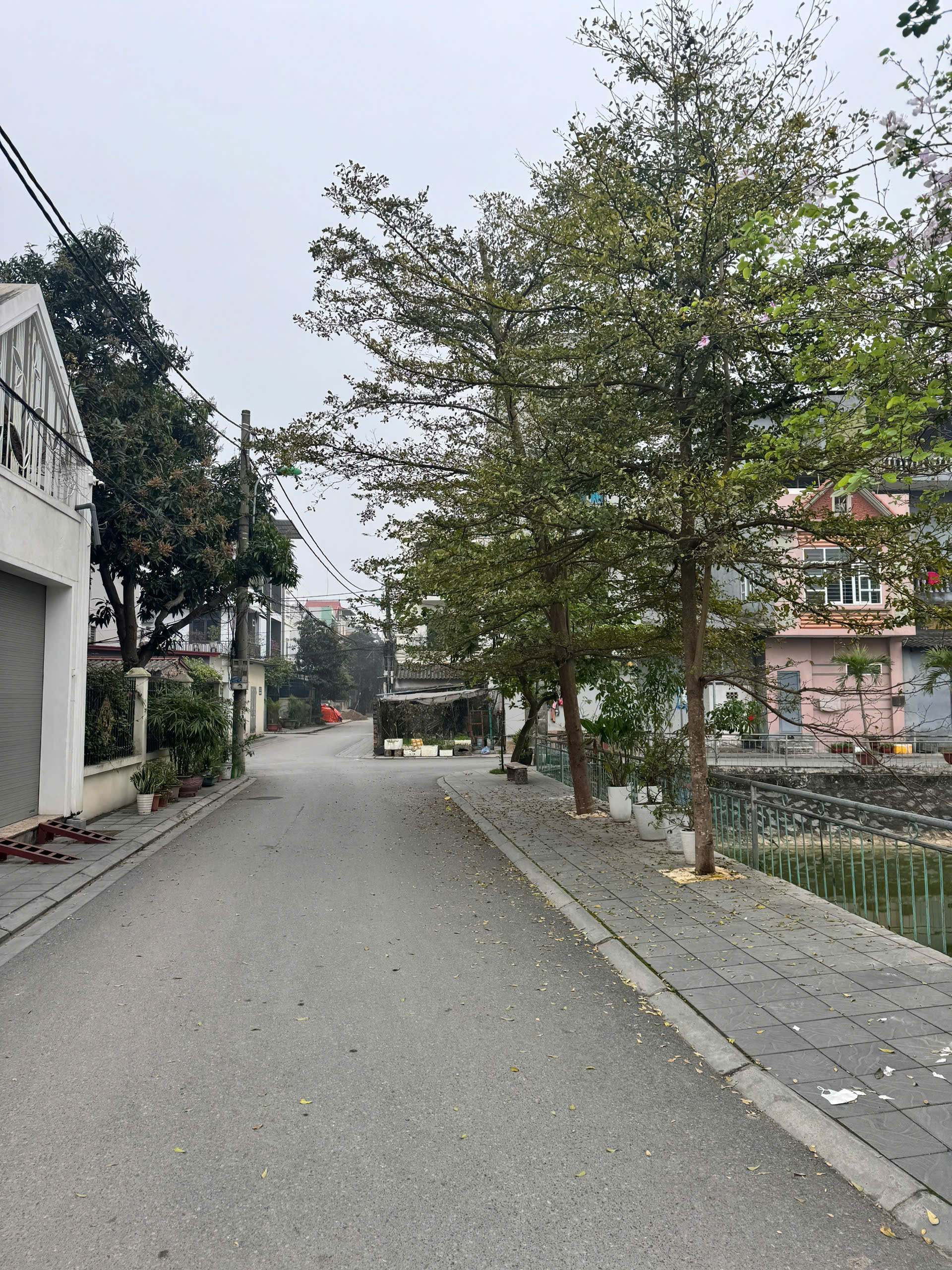 z6503294823618_ad695d193fd61f9656bfaf0e8ec2fde1