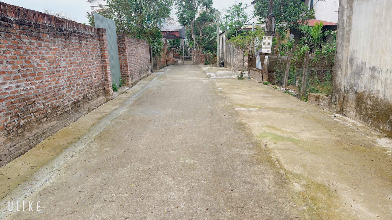 z6503709538988_6761a31eafc3fa1afd10982ad4c839d6