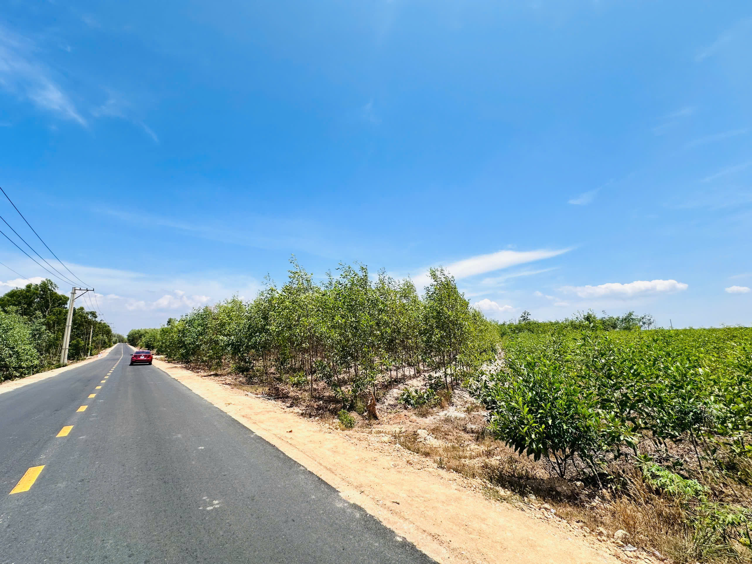 z6503812355173_e7bfd38fd5ed7fe7cd414a5a1e497413