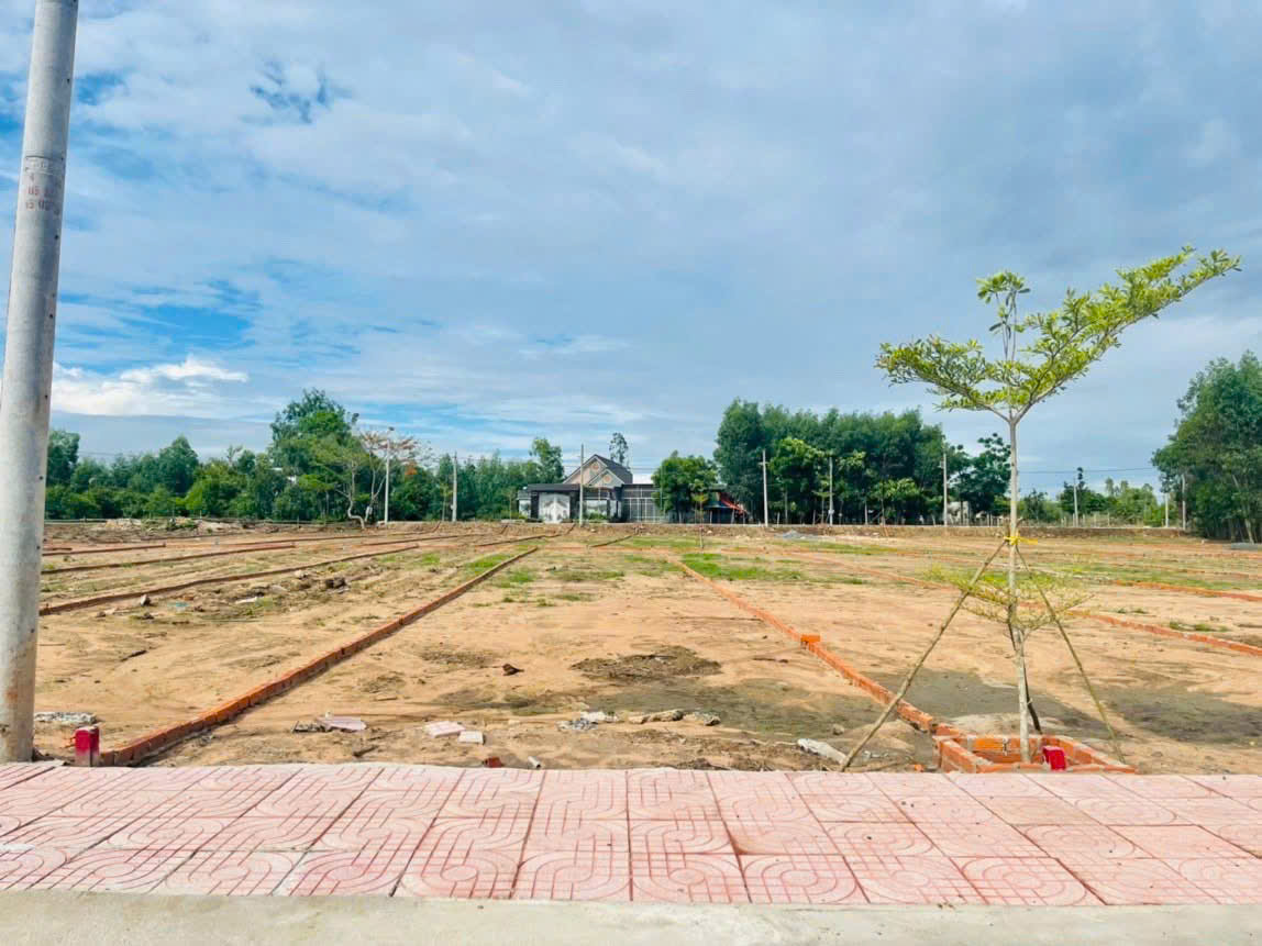 z6504211455225_8f36e4cb5d72a77624375544c64f4a86