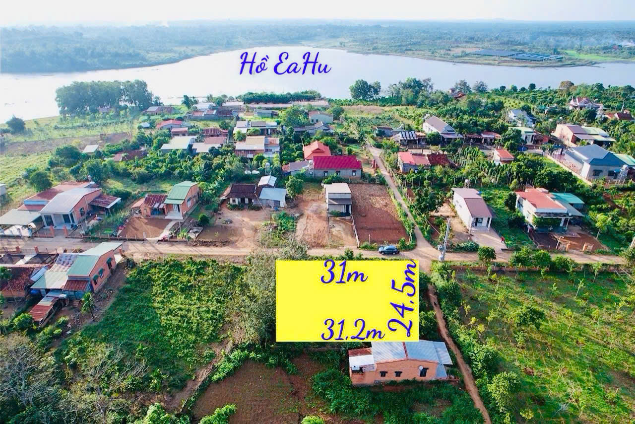 z6506966952604_399603278fd8e56cf94530a9ab52426a