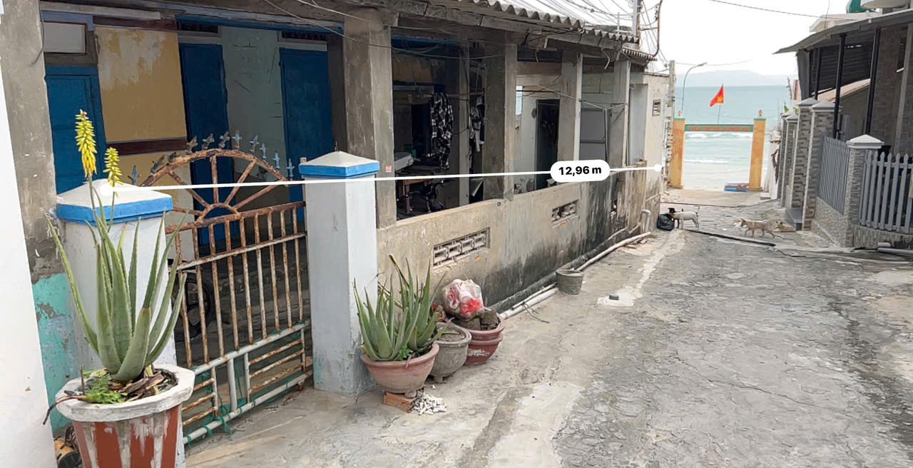 z6509394605174_cf5f0774888372dc951bb27cb392f06f