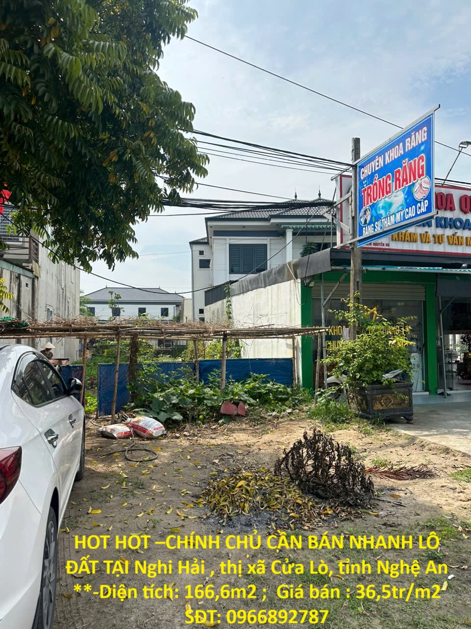 z6510863729664_874ae07a679ad90703ebfd0da45d23b2