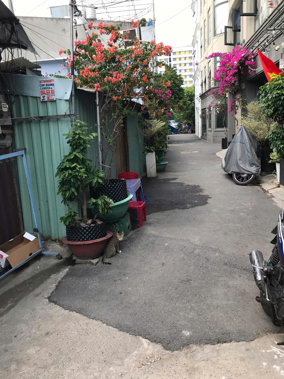 z6511176615806_11c67b0a8dfc1fc20df4eccc246da3e0