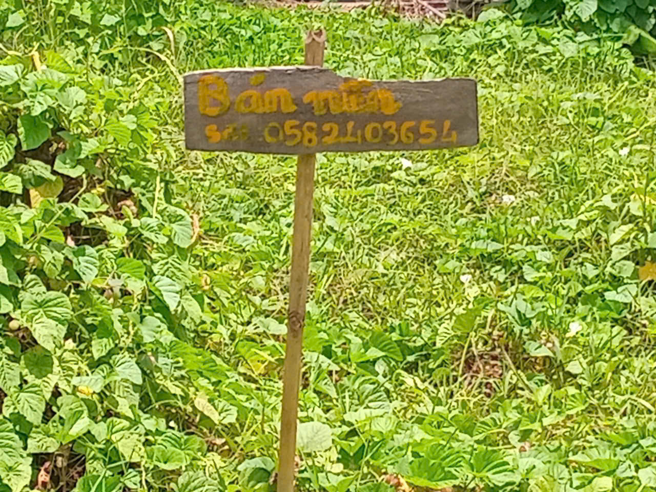 z6514559460018_47ec17497c481e625efcdb0eee970040