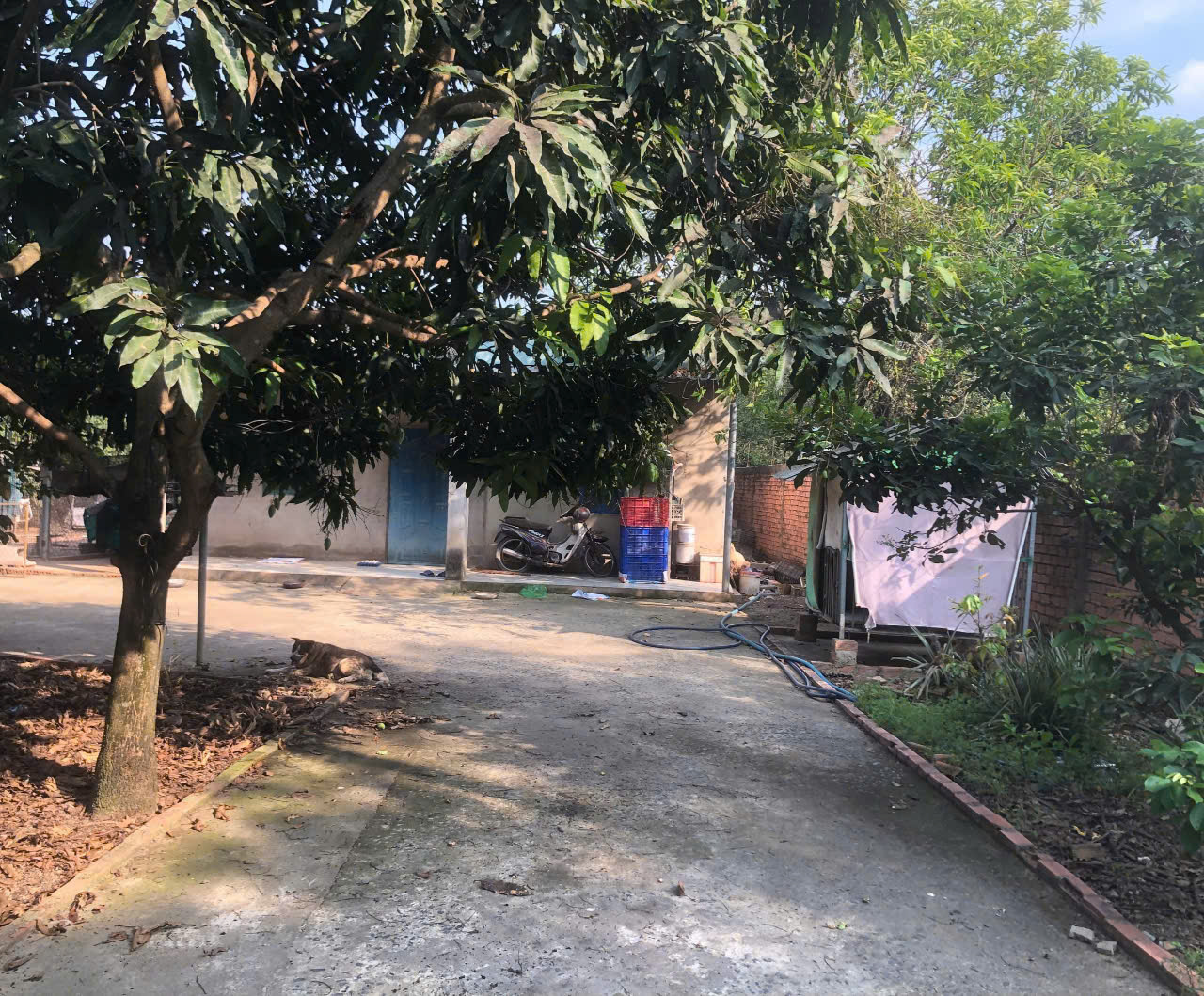 z6515196409688_9f7ba4051cd67ad4ef7517928c8ce41a