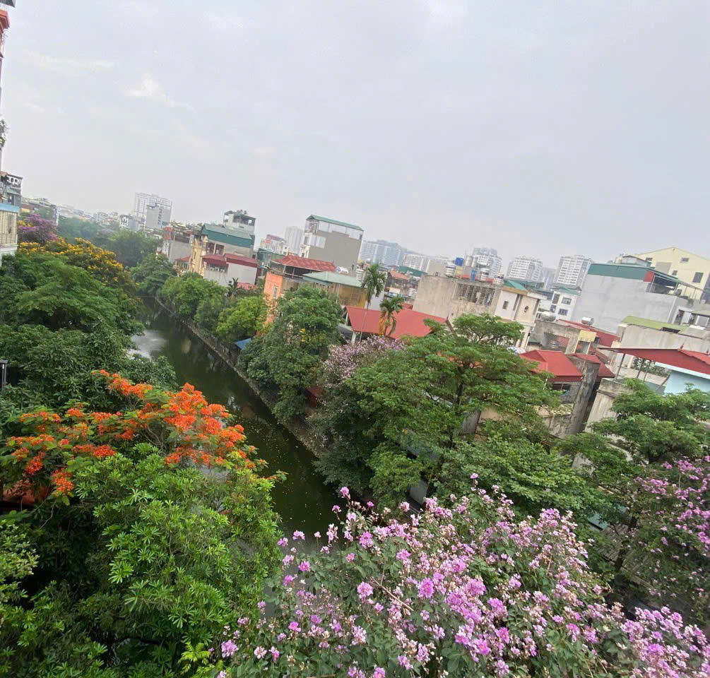 z6515855212843_dd1fd2c2cad26ca3286954aa15d9dc8b