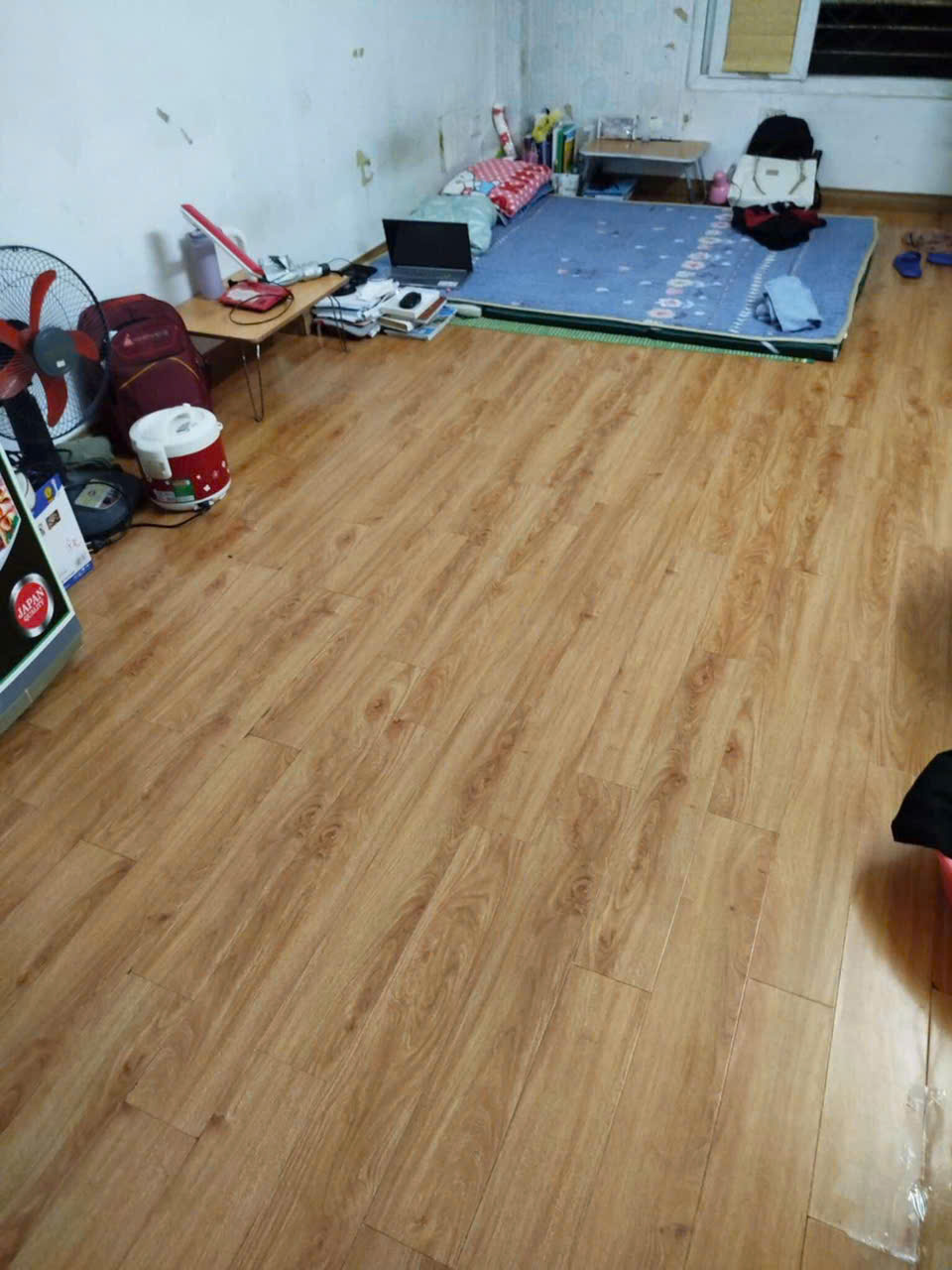 z6516493680343_c05c10d460f10692f14778ced756fa39