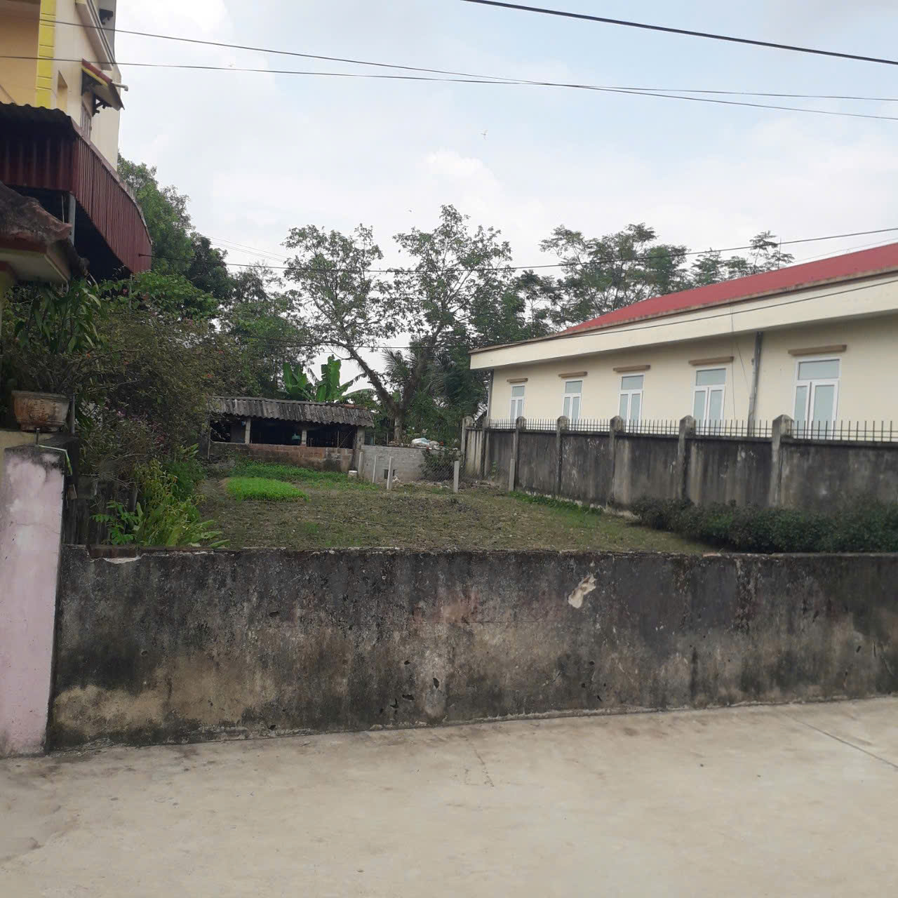 z6517486838779_674726cd6ded22547773c644a2cab4eb