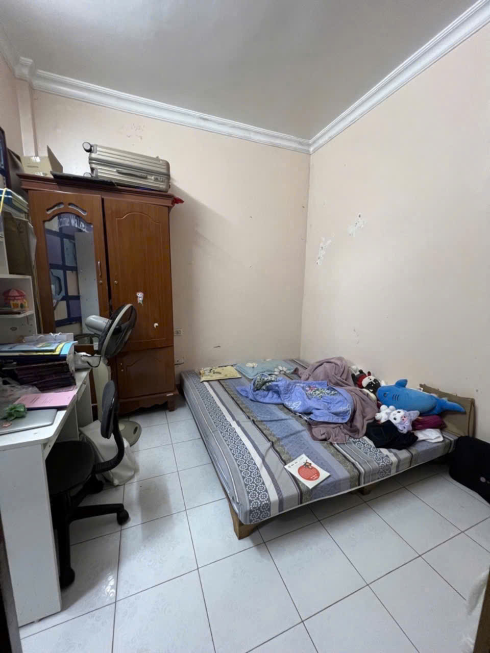 z6517939495361_ddd877025e2f40deb1b969f8daad6cc6