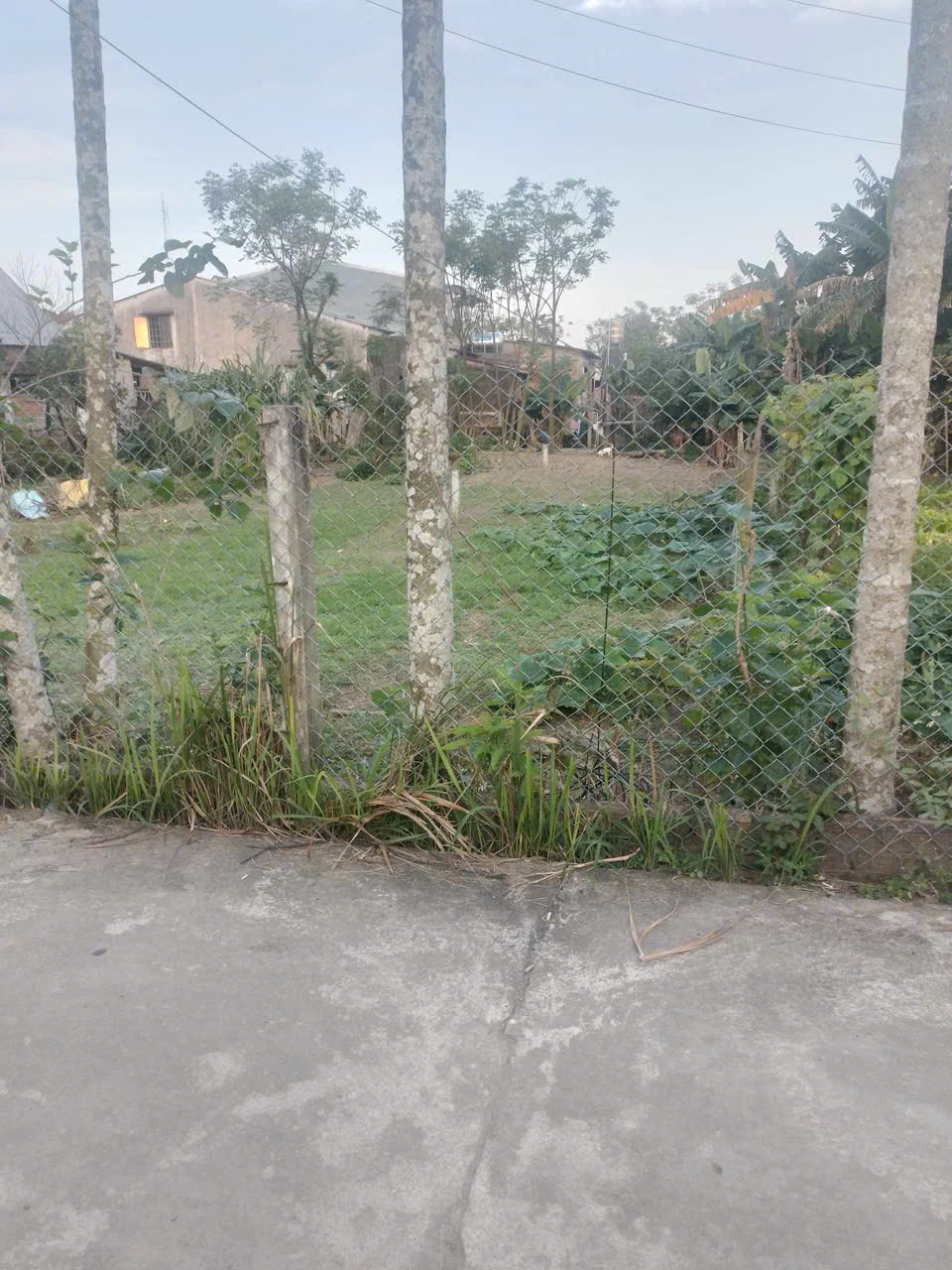 z6518145638755_b96985e53b64e230ee697d03456d2c3a