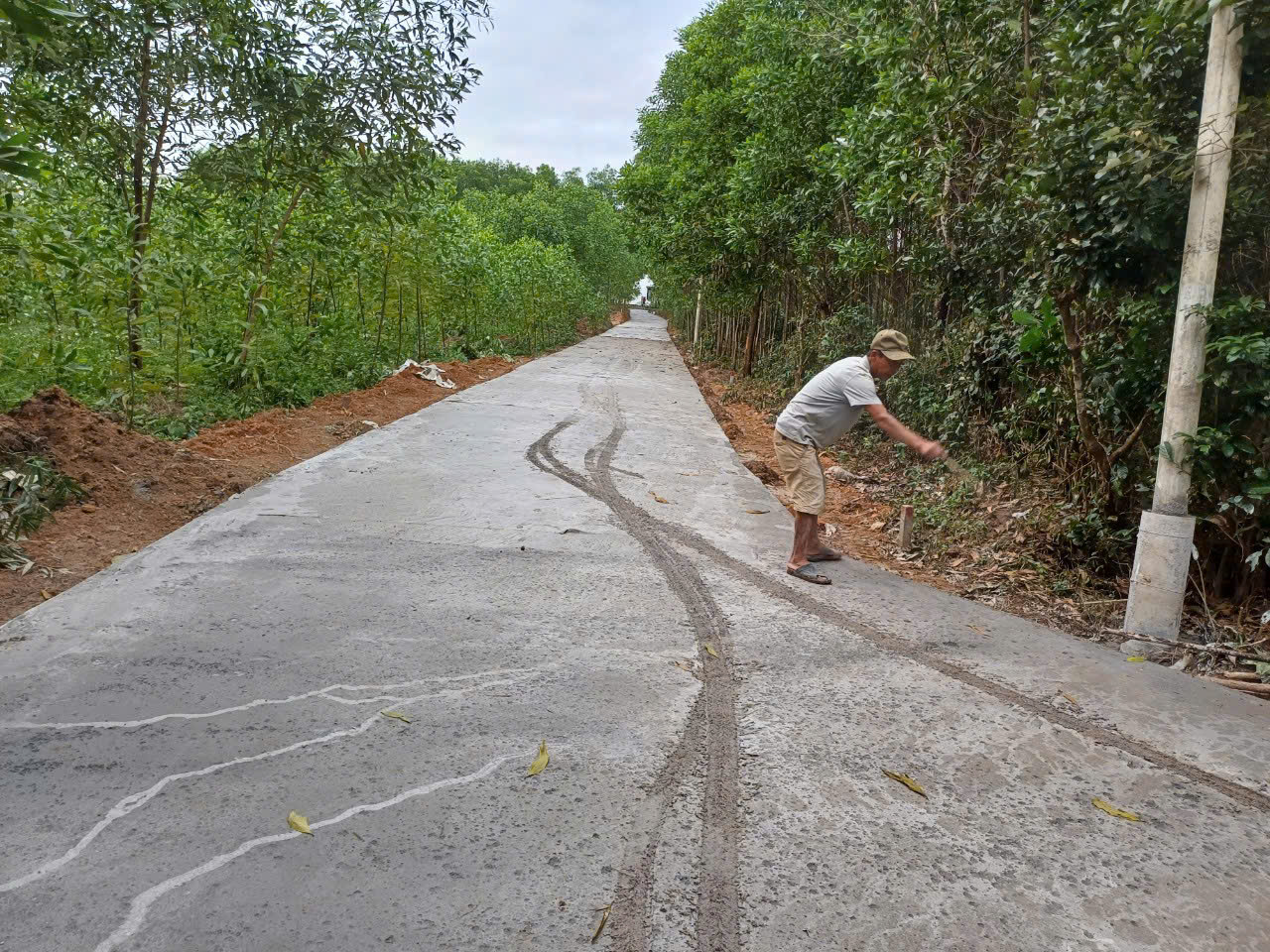 z6518473259809_fcfd9bb251083527d9db91e85450301b