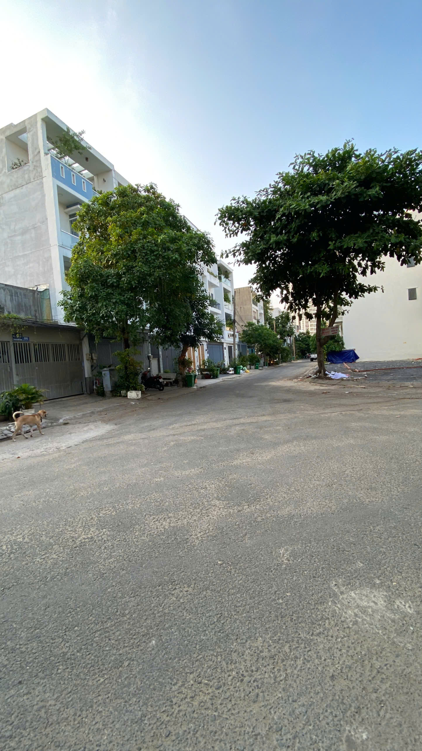 z6518876713760_ae9312799affacb9e15dad8dc069df63