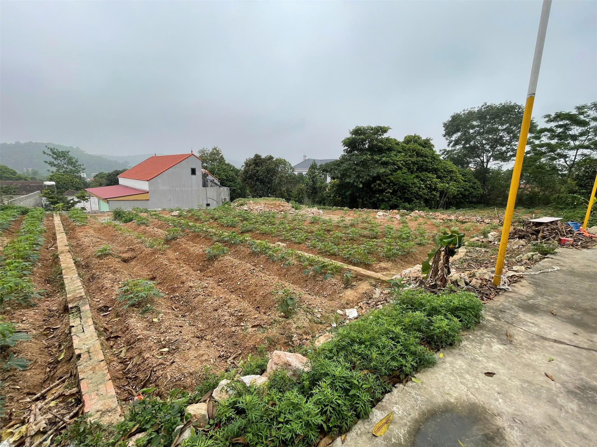 z6519040663774_f7369c1028cb3bf0064e2fec13f02c0a