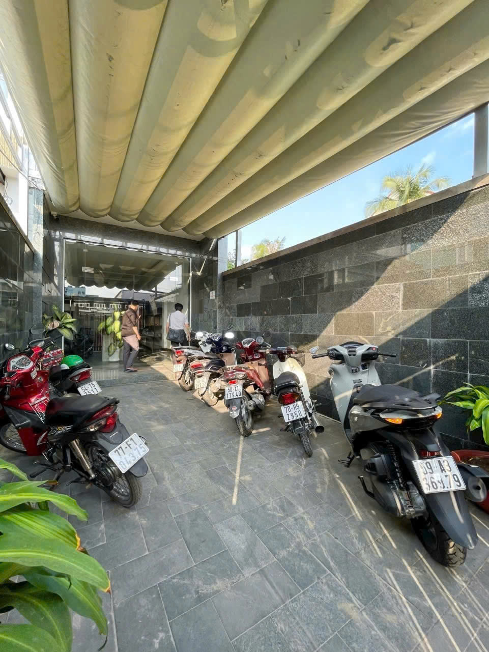 z6519176945297_0801ea9b07a861f0a17c4a1de831f253