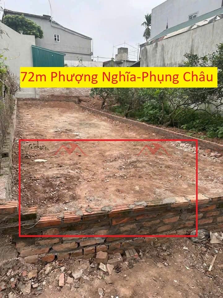 z6523229937843_5b2cb4127adcc770f22f2c4596f55684