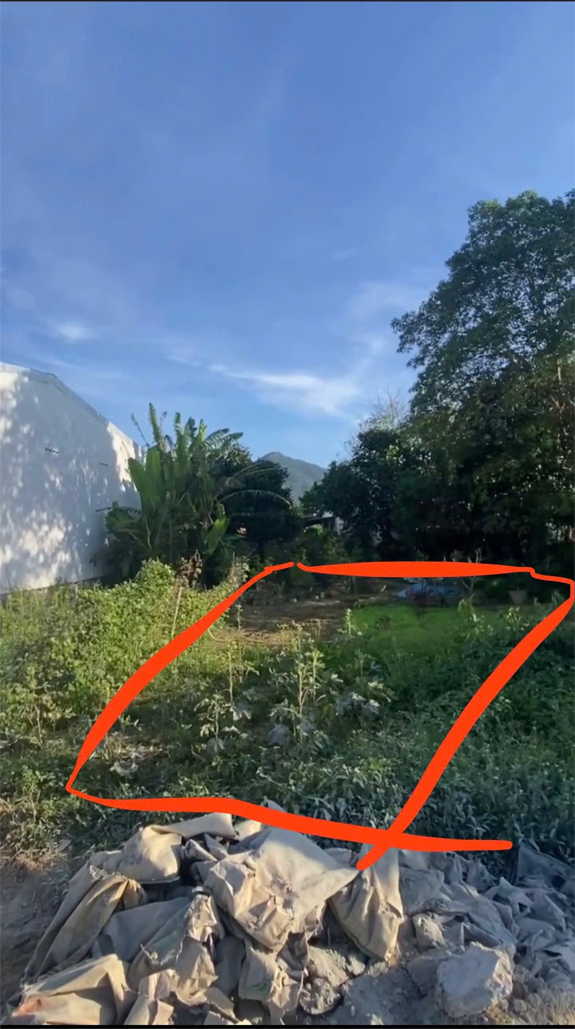 z6525330925291_840de921ec700e5e4283633348bf60d2