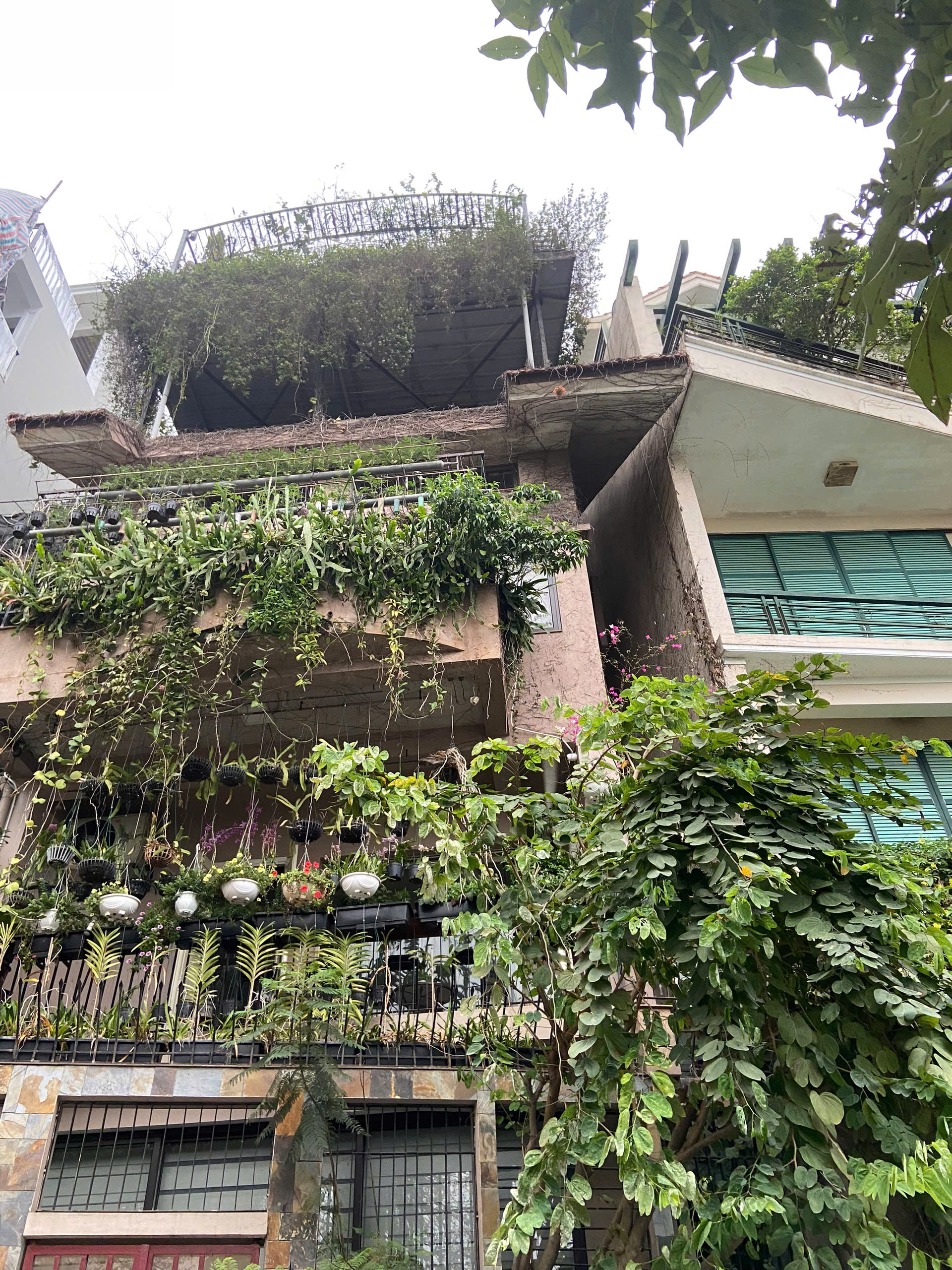 z6525336559857_caad7c33310e56c98a91a8fd9a7712ac