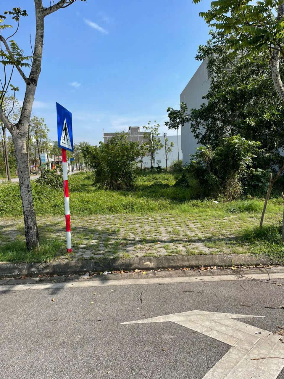 z6525756983600_5279cb8dfa89b40e89f29aa851865f58