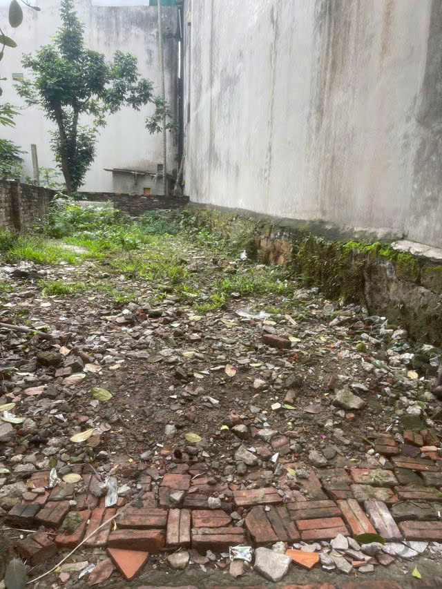 z6526773757367_e856820bae60d995948259369aab57cf