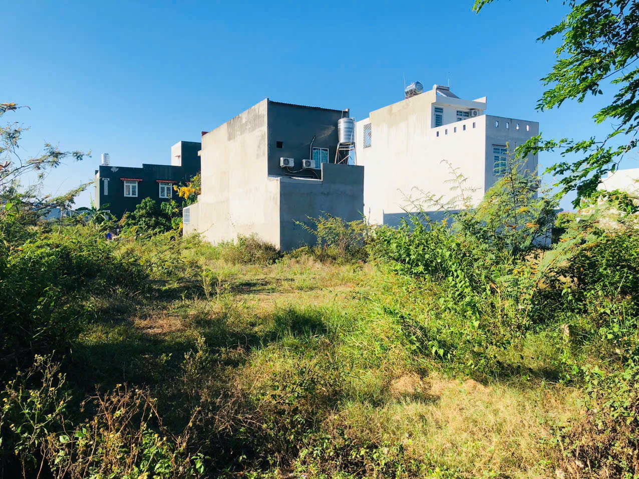 z6529334198021_662cbda6317a805b2e0ecc32c002fd06