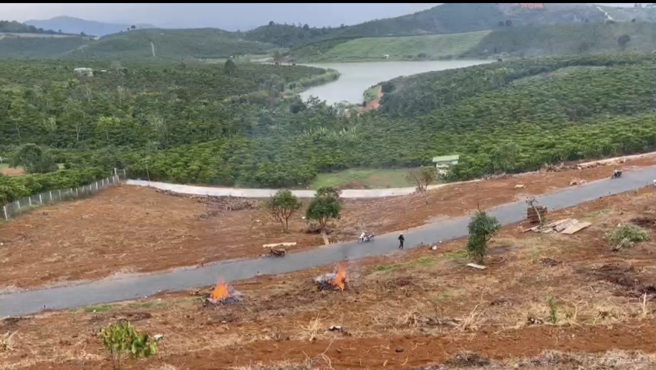 z6530554089622_49f1cc4eb59a2a79384c6004ce480e10