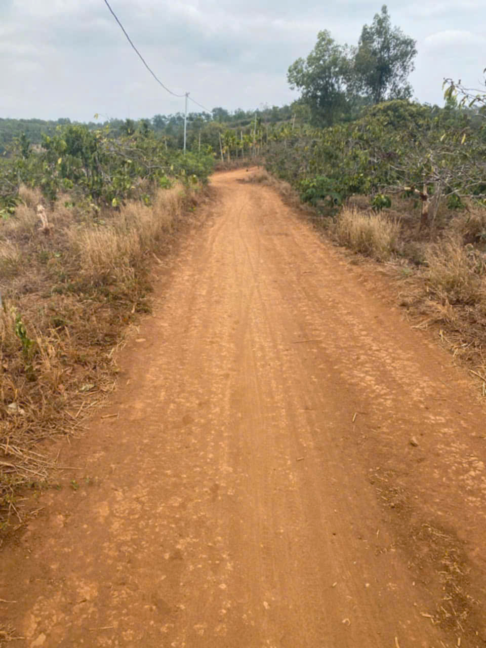 z6532416706918_286c25cde431cbae3f23d4f8eb3f5b39