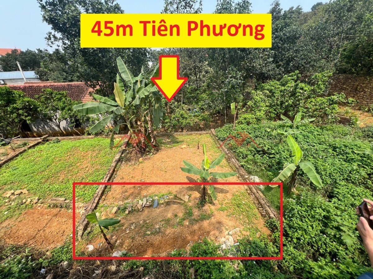 z6532697099752_d2311932797d6c0ae76d1c352dd62d2c