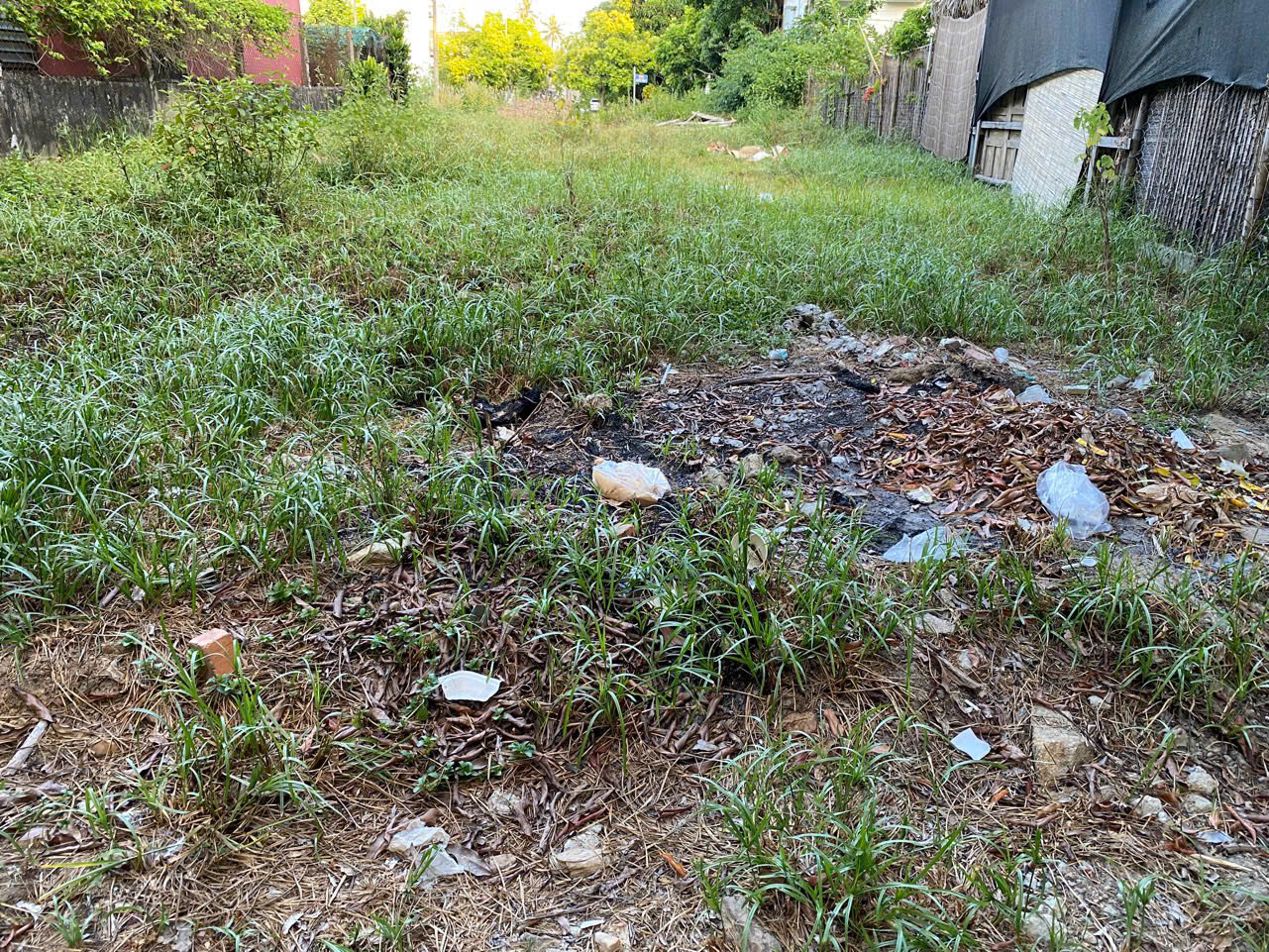 z6532837151591_7059323be729029c88e9ccd3e30a95b0