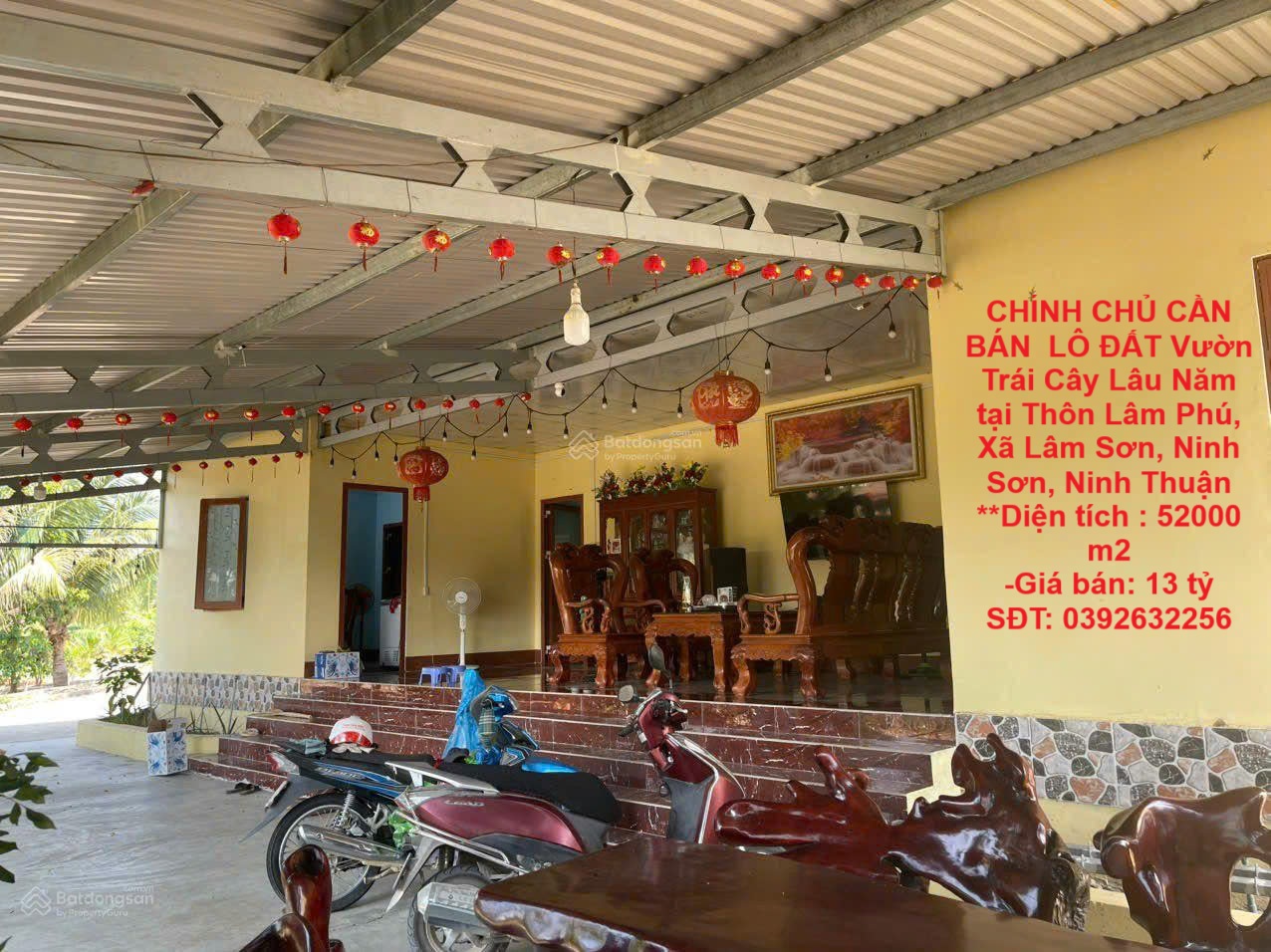 z6535917171083_4e3806ad817fa1d1e458a678e43dbc8