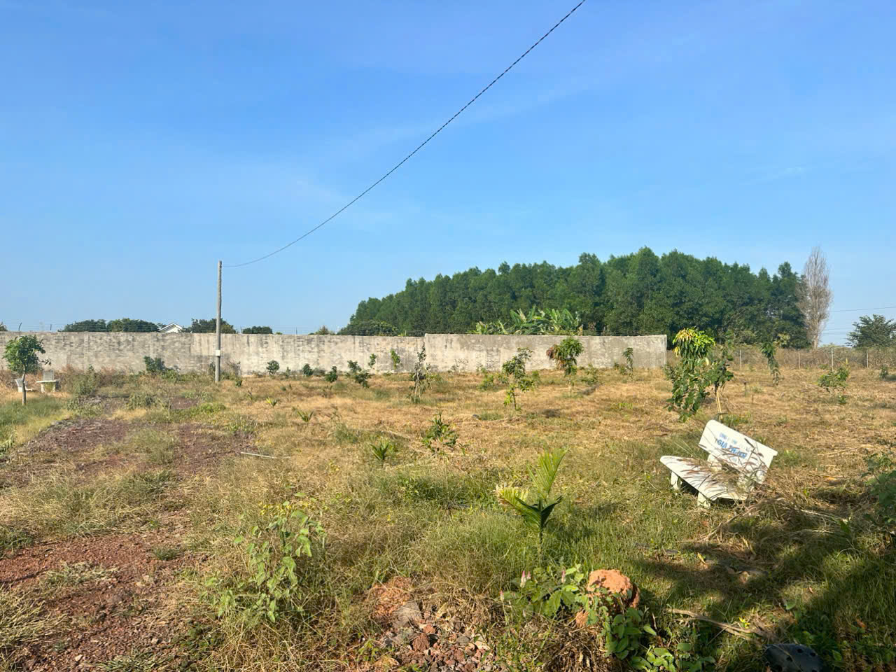 z6535936984890_c0ffe0c6a14bf55f5d5d24d2e88d5f88