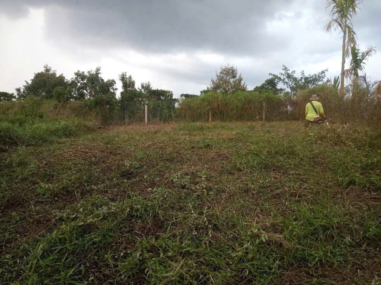 z6538480259661_62f9f346b6cfe426b55fbb843050b809