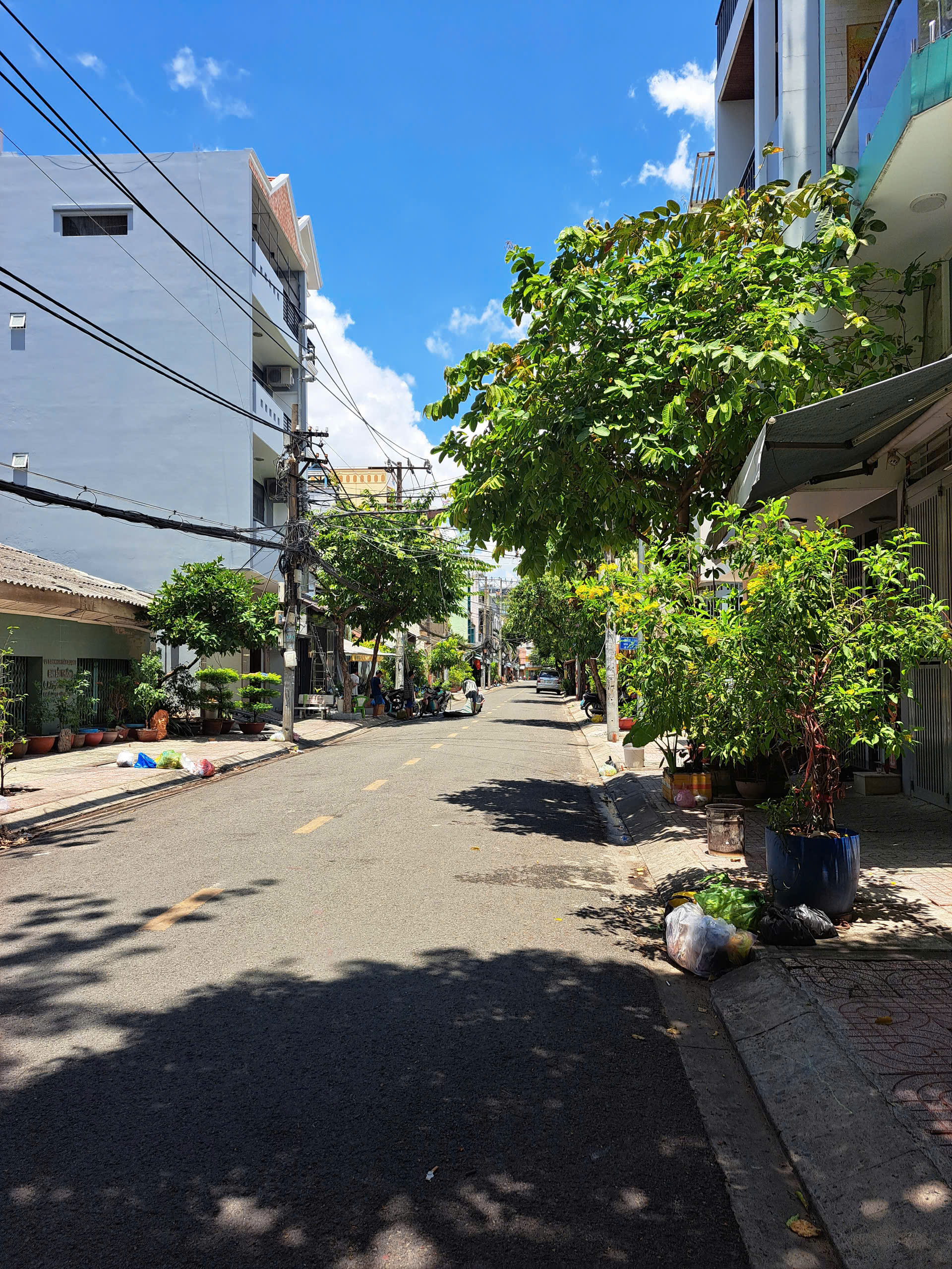 z6540142051523_80f8b5bd76d6c78d38794c8df76f327b