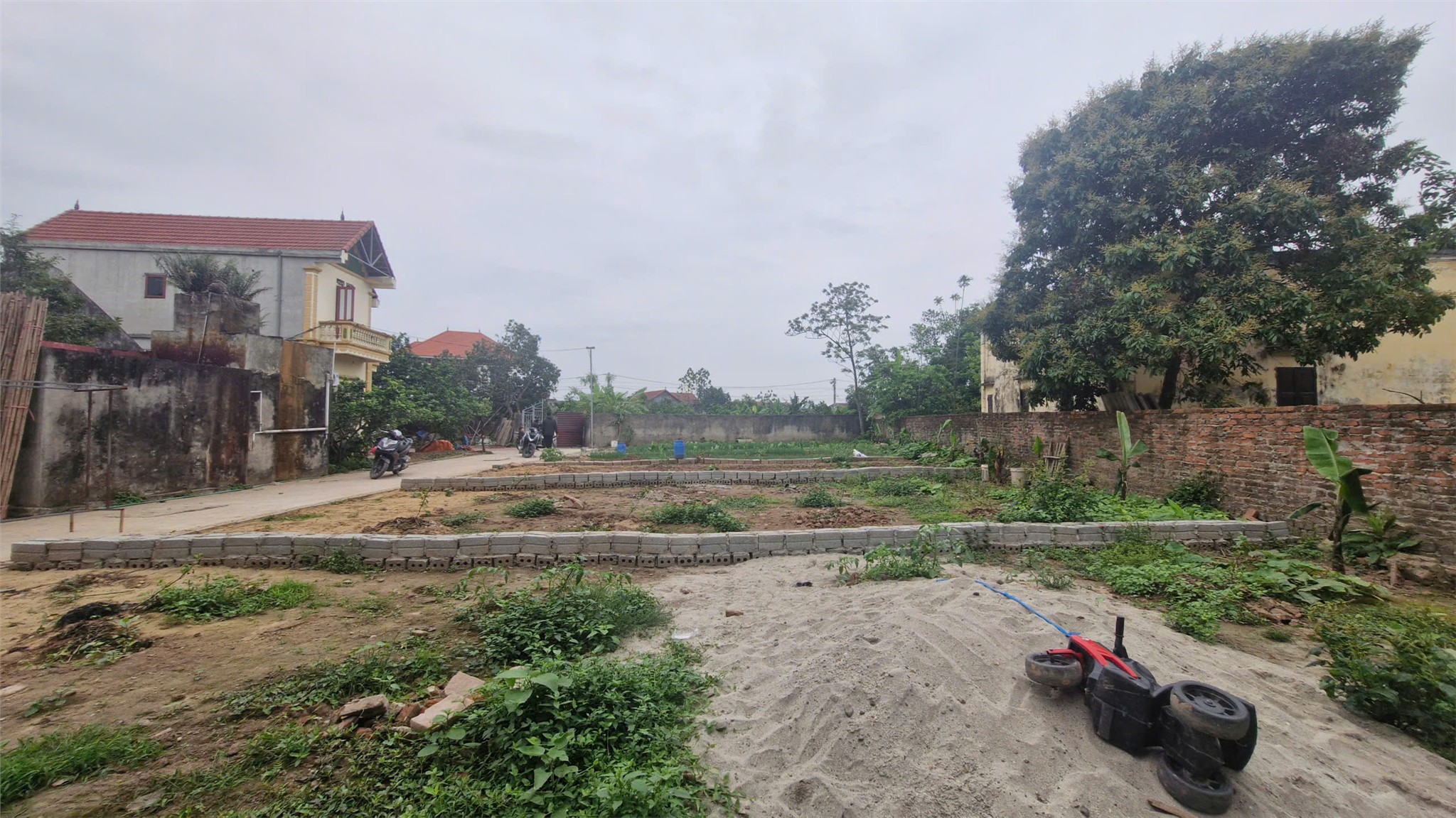 z6540242677302_f1f4819ce8c633edc4df17e0feae3d55