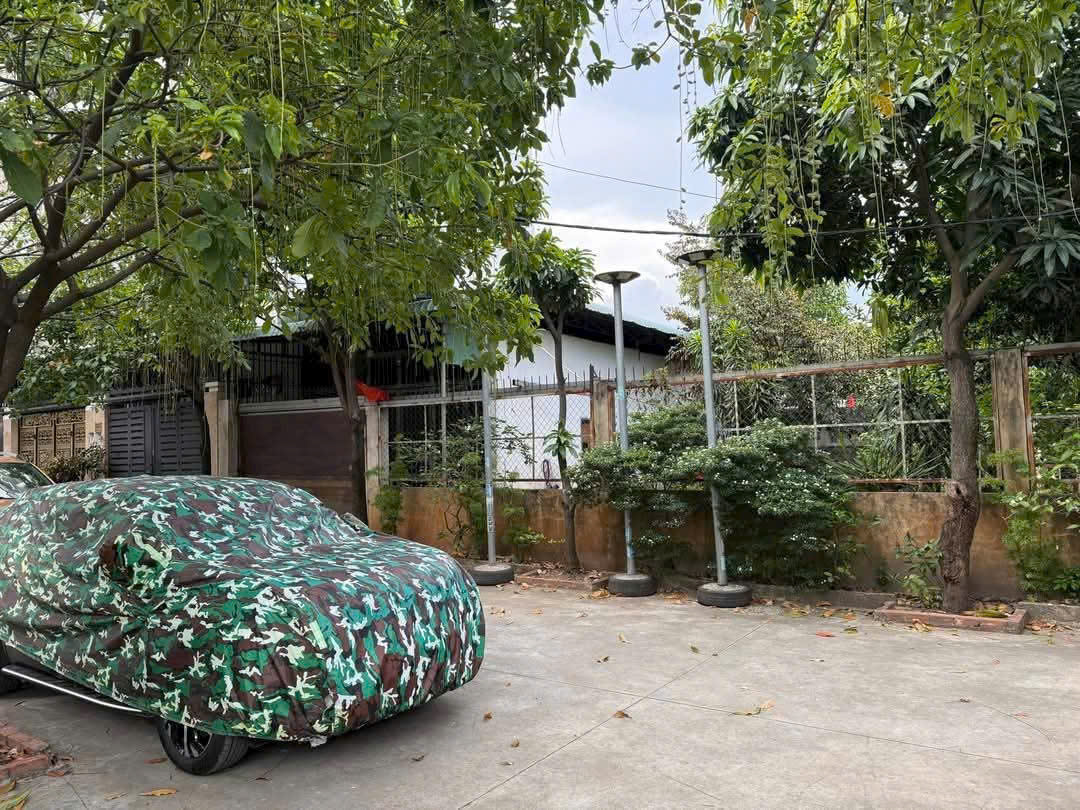 z6540736774244_9a9a1e7a3c8c0e07550e8bfe1f779171