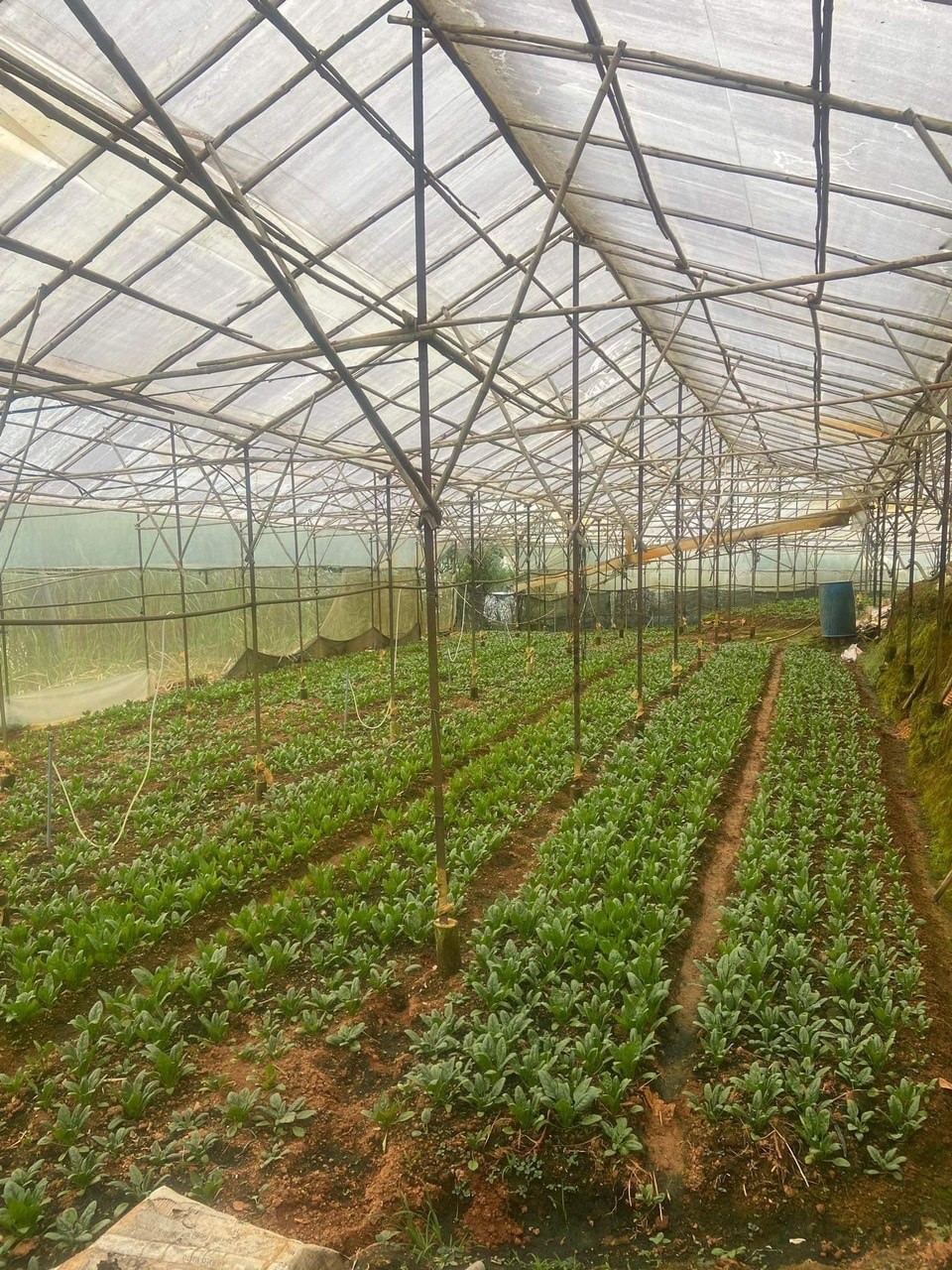 z6542208377654_4812e8e032da95c8f537282cae987044