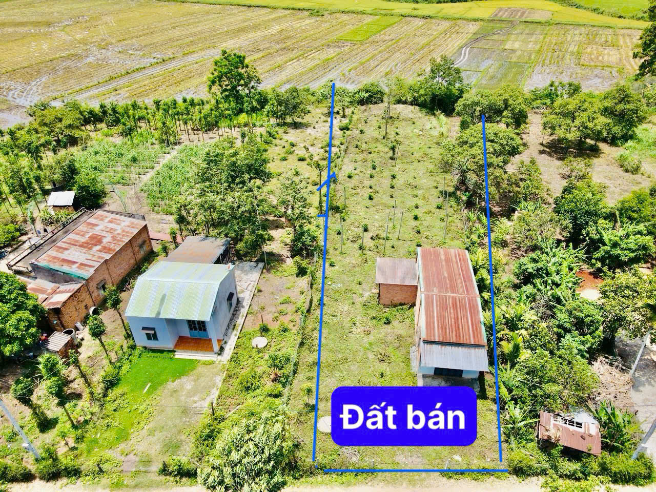 z6542729602517_705c31d202584055e2755543c4843c18