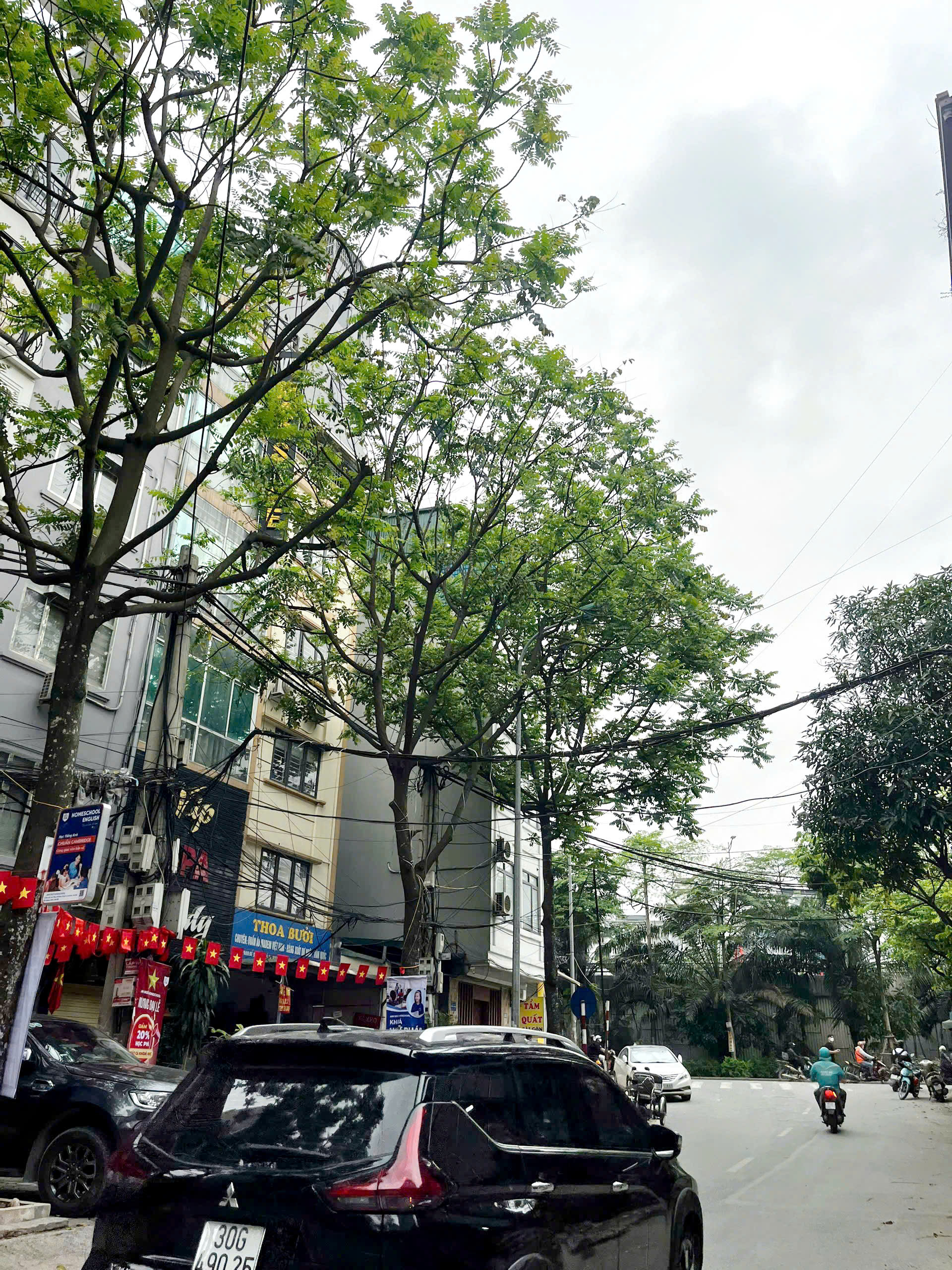 z6543291135803_2485885e72f851921fc1347c5a7ba829