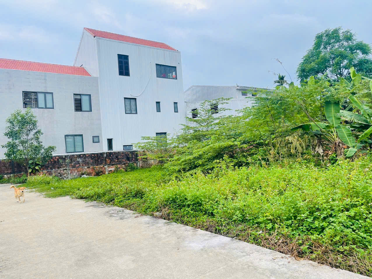 z6547300473759_0369e3d73d3e2ca674b6ae78511cf70a